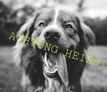 Hot, hot, hot! 🔥
Endlich ist die Sonne zurückgekehrt und die wärmere Jahreszeit beginnt. Was des einen Freude ist, ist...