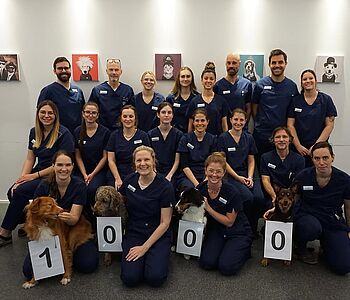 👀 1000 Follower! 
Ein herzliches „Danke“ an all unsere Follower, euer VET Zentrum Team 🩵
#dreamteam #vetzentrumpfungen...