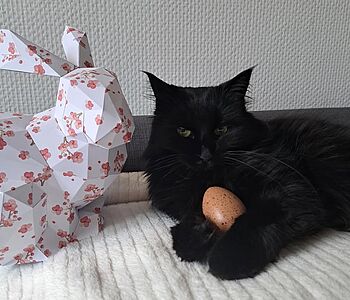 🐣🌷 Frohe Ostern aus unserer Klinik 🌷🐣

Heute wird es besonders flauschig: Unsere kleine Osterbotschafterin Luana, die...