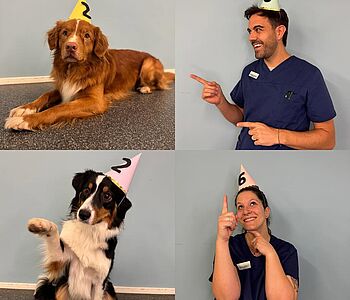 2️⃣0️⃣2️⃣6️⃣ Happy New Year! 
Das VET Zentrum Team wünscht allen Fellnasen und deren Familien einen sanften (und nicht...